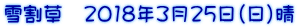 �ኄ���@2018�N3��25���i���j��