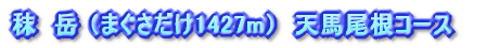 秣 岳 (1427m) 天馬尾根コース